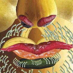 Man Fruit face
