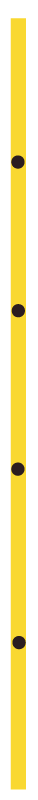 Exprience